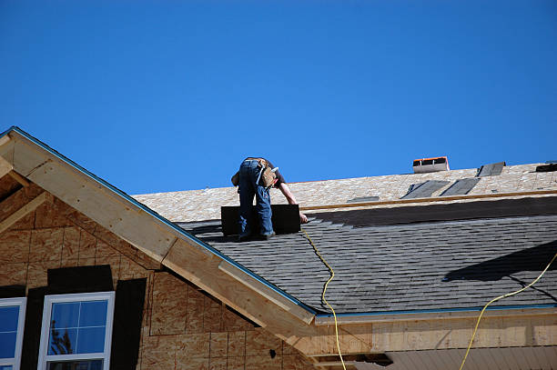 Best Roof Insulation Installation  in Hutchinson, MN